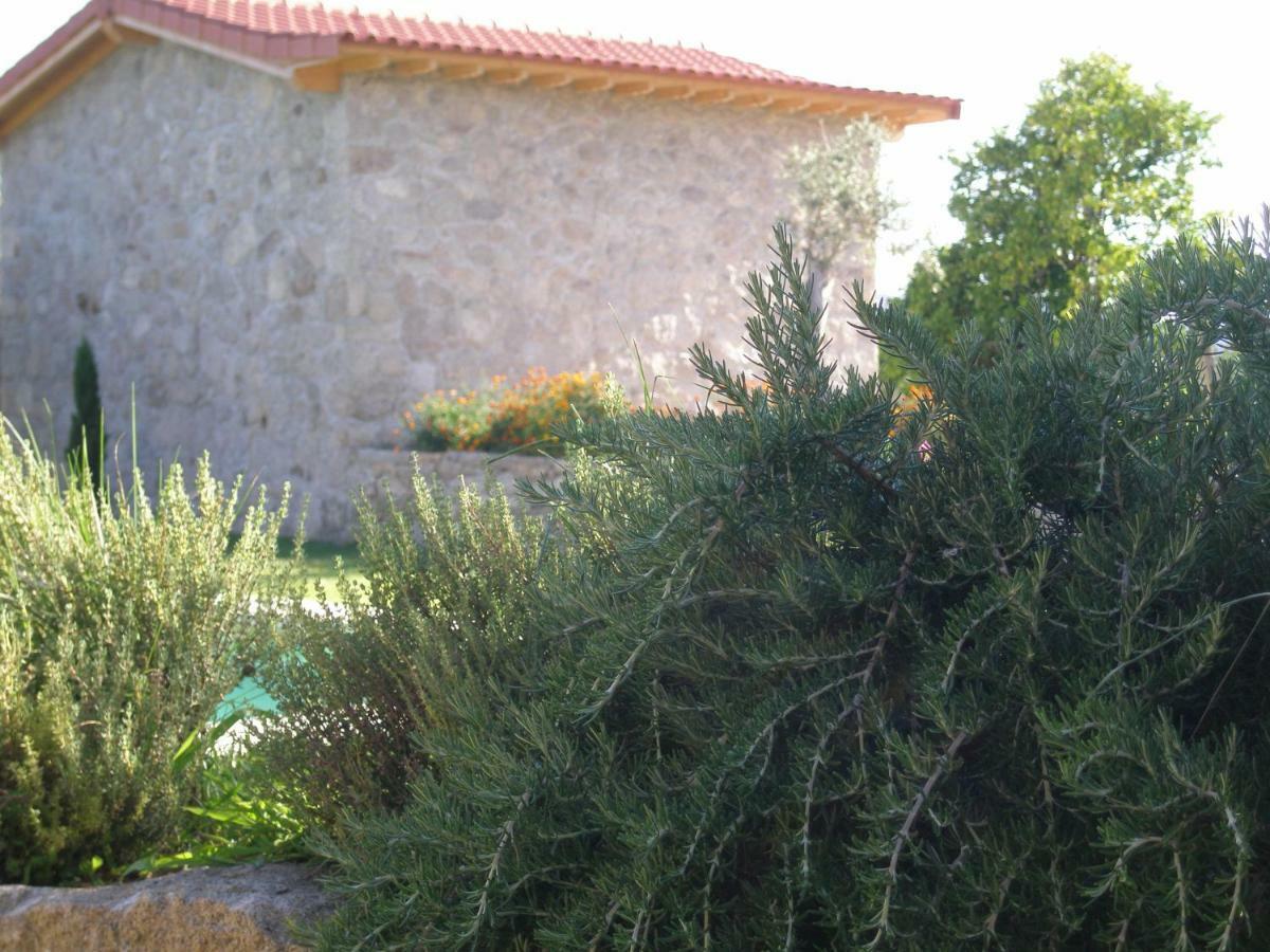 Eido Da Portela - Casa De Campo Carregadouro Zewnętrze zdjęcie