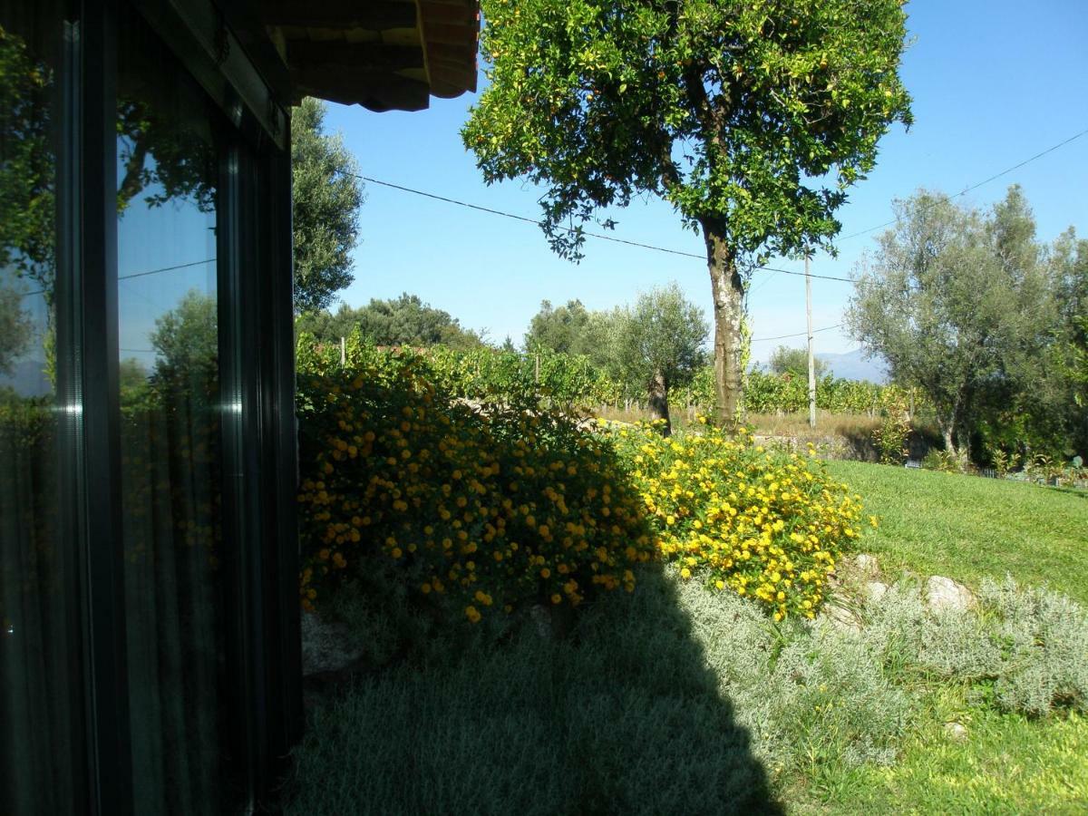 Eido Da Portela - Casa De Campo Carregadouro Zewnętrze zdjęcie